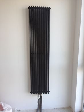 Дизайнерские радиаторы Praktikum 2 H-1800 mm, L-275 mm Betatherm PV 2180/07 9005M 99 фото