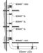Кріплення для вертикальних труб Walraven BISMAT 1000 KA 75 мм, DN70 (3363070) 3363070 фото 2