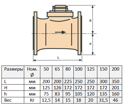 Лічильник гарячої води BMeters WDEK30, фланцеве підключення 2 1/2" (53370) 53370 фото