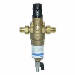 Фільтр для гарячої води BWT PROTECTOR MINI HWS 1/2" HR (810560) 810560 фото