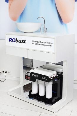 Фільтр зворотного осмосу Ecosoft RObust 1000 (ROBUST1000) ROBUST1000 фото