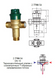 Термосмесительный клапан TMW 2 для систем питьевого водоснабжения HERZ (2776654) 2776654 фото 2