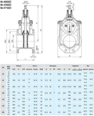 Задвижка Hawle 4010Е3 чугунная, фланцевая, DN 80, PN25 (5019468) 5019468 фото