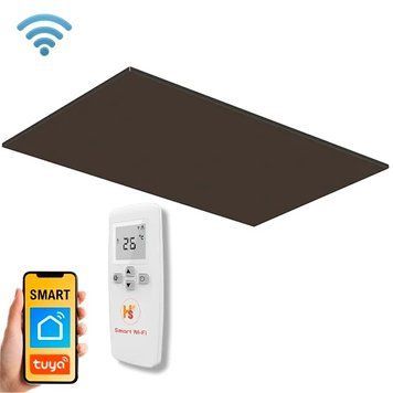 Інфрачервоний обігрівач HSteel ISHC 6010 R Wi-Fi 600 Вт, 600х1000х14, RAL, стельовий (ISHС6010RWIFI) ISHС6010RWIFI фото