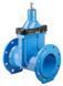 Задвижка Hawle 4700E3 чугунная, фланцевая, DN 50, PN16 (5019090) 5019090 фото 1