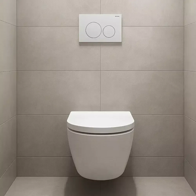 Інсталяція Geberit Duofix 2 в 1: зі змивною клавішею Delta20 (458.103.00.2+115.127.11.1) 458.103.00.2+115.127.11.1 фото