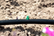 Крапельниця мікроджет Шуруп Presto-PS (MJS-018) MJS-018 фото 2
