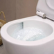 Унітаз підвісний Hansgrohe EluPura S SoftClose, QuickRelease Білий (62025450) 62025450 фото 5
