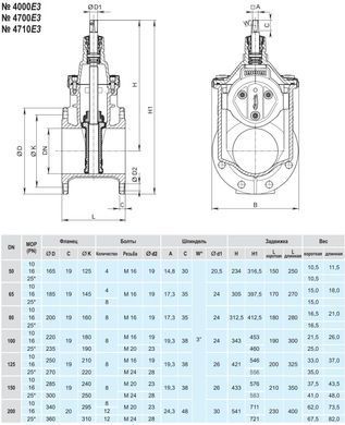 Засувка Hawle 4000Е3 чавунна, фланцева, DN 80, PN16 (5017698) 5017698 фото