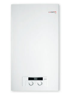 Настенный газовый котел Protherm Lynx 24 (0010010833) 0010010833 фото