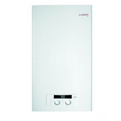Газовый котёл 28 кВт LYNX Protherm, 2-контурный, настенный (0010010835) 0010010835 фото