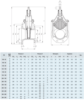 Задвижка Hawle 4150E2 чугунная, фланцевая, DN 250/150, PN16 (5001654) 5001654 фото