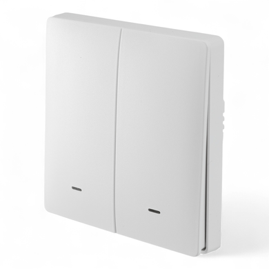 Розумний клавішний вимикач Tervix Pro Line ZigBee Push Switch (2 клавіші), без нуля (433111) 433111 фото