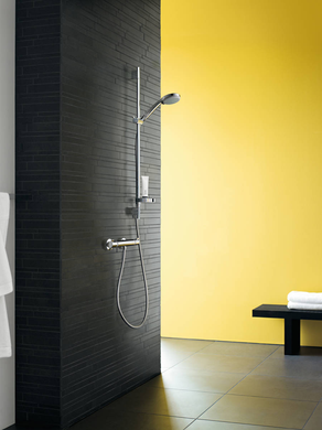 Ручной душ HANSGROHE CROMA 100 Vario EcoSmart (28537000) 28537000 фото