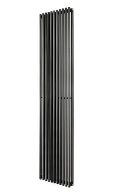 Вертикальний радіатор Praktikum 2 H-1600 мм, L-349 мм Betatherm PV 2160/09 9005M 99 фото