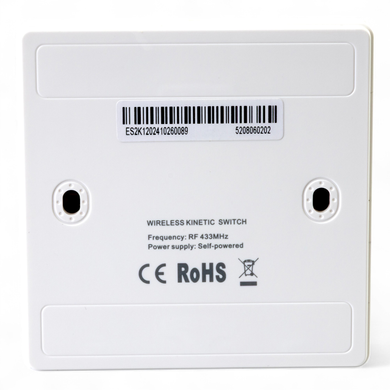 Безпровідний вимикач Tervix Pro Line RF 433 MHz Switch (1 клавіша) (432771) 432771 фото