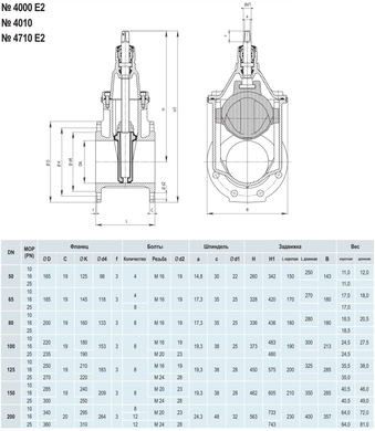 Засувка Hawle 4010Е2 чавунна, фланцева, DN 65, PN25 (5001802) 5001802 фото