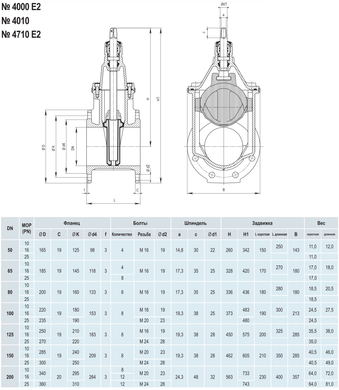 Засувка Hawle 4000Е2 чавунна, фланцева, DN 80, PN16 (5001324) 5001324 фото